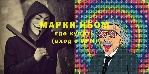 шишки Горняк