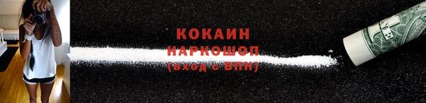 шишки Горняк