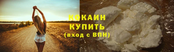 тгк Горнозаводск