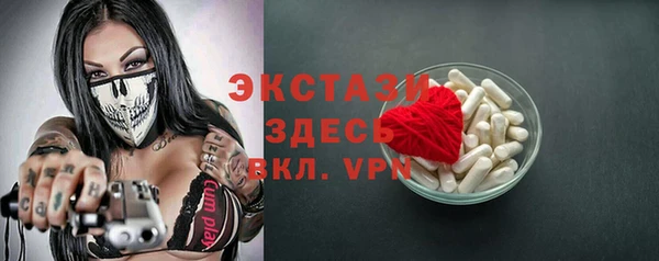 шишки Горняк
