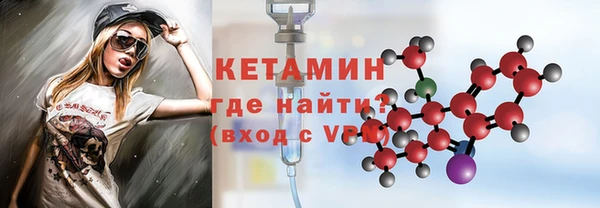 шишки Горняк