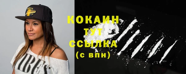индика Вязники