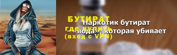 шишки Горняк