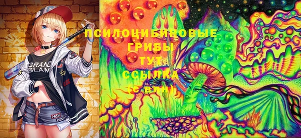 твердый Вяземский