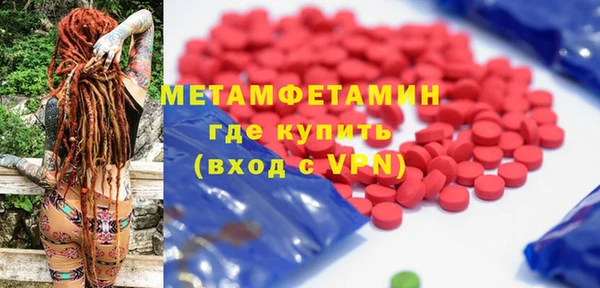шишки Горняк