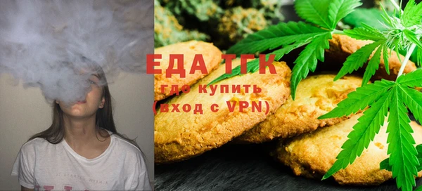 шишки Горняк