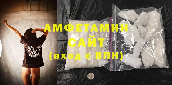 шишки Горняк