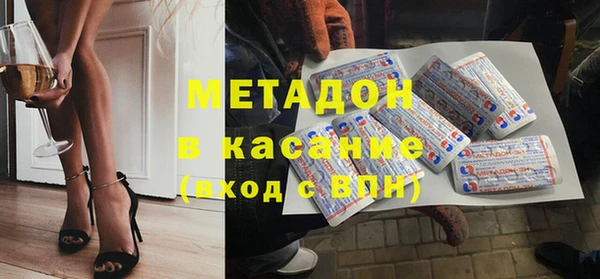 шишки Горняк