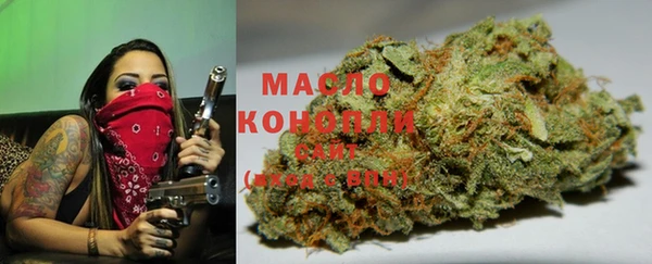 тгк Горнозаводск