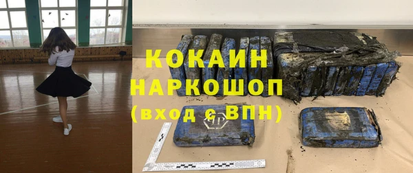 mdpv Горно-Алтайск