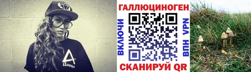Псилоцибиновые грибы мицелий Мостовской